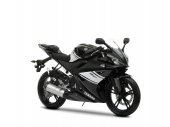 2009 Yamaha YZF-R 125 photo